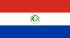Country flag of Paraguay
